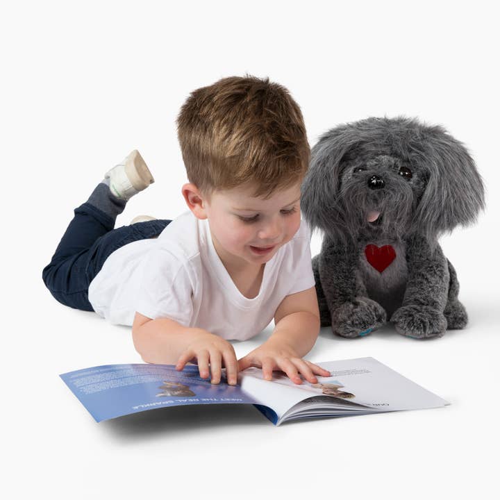 Bene World Toys - Wholesale Stuffed/Plush Toy - Kids & Baby - Stuffed dog with storybook pet care gifts for kids2