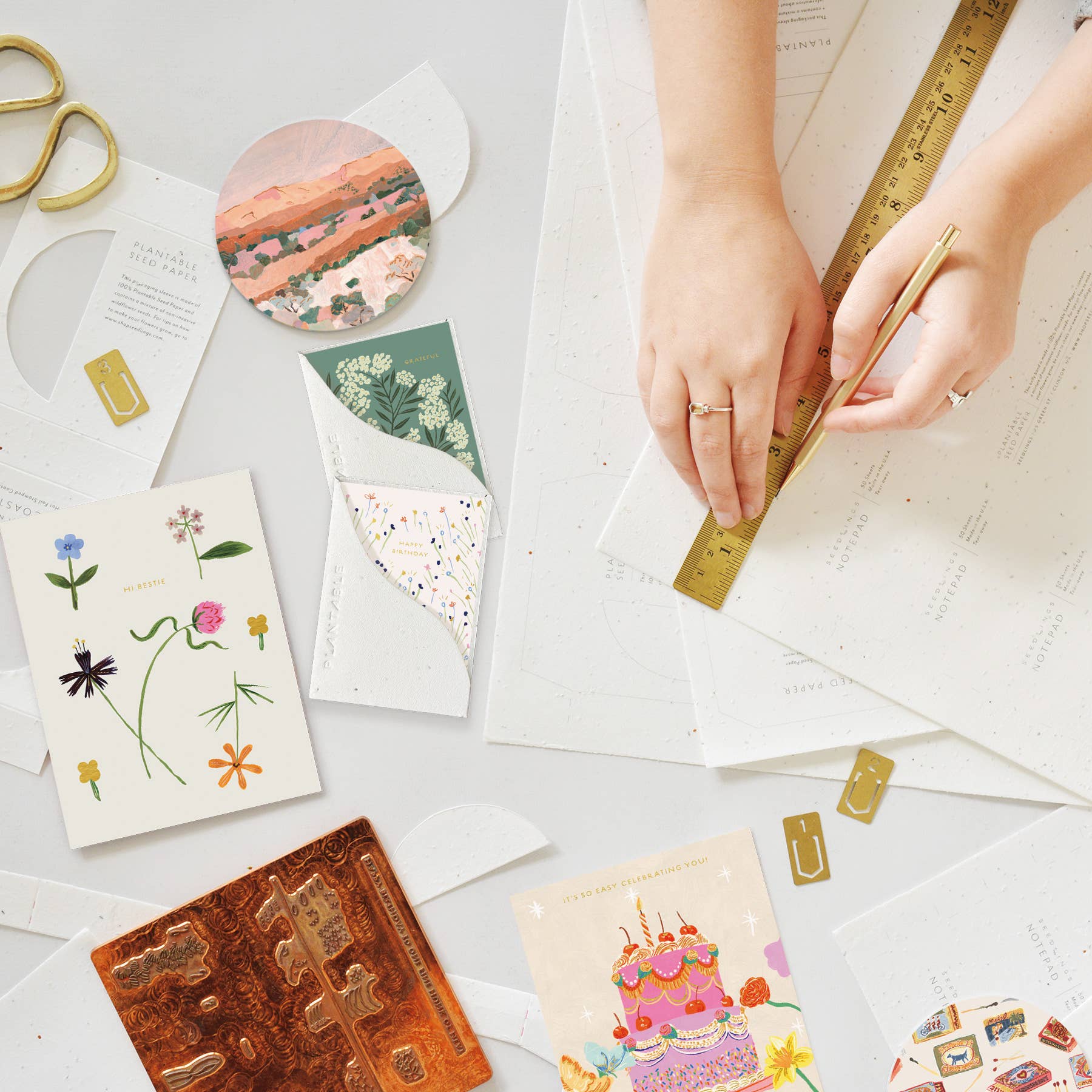 Seedlings – postal de parabéns por atacado – Doces Rebentos - Mini Cartão de Aniversário (6,35 cm x 8,89 cm)5