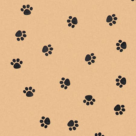 Nashville Wraps - Wholesale Tissue Paper - Animal Print Bulk Tissue Paper Sheets0