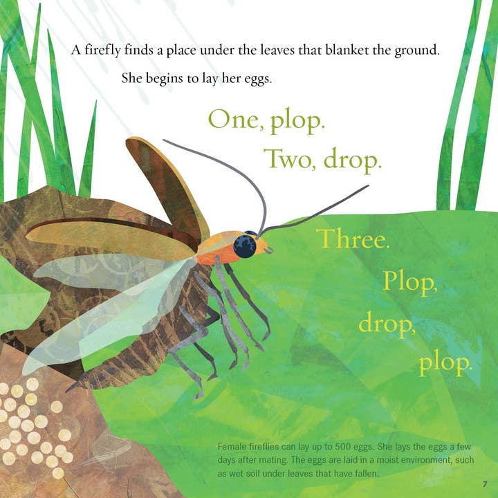 Sleeping Bear Press - Wholesale Book - Kids - Light the Sky, Firefly! Picture Book2