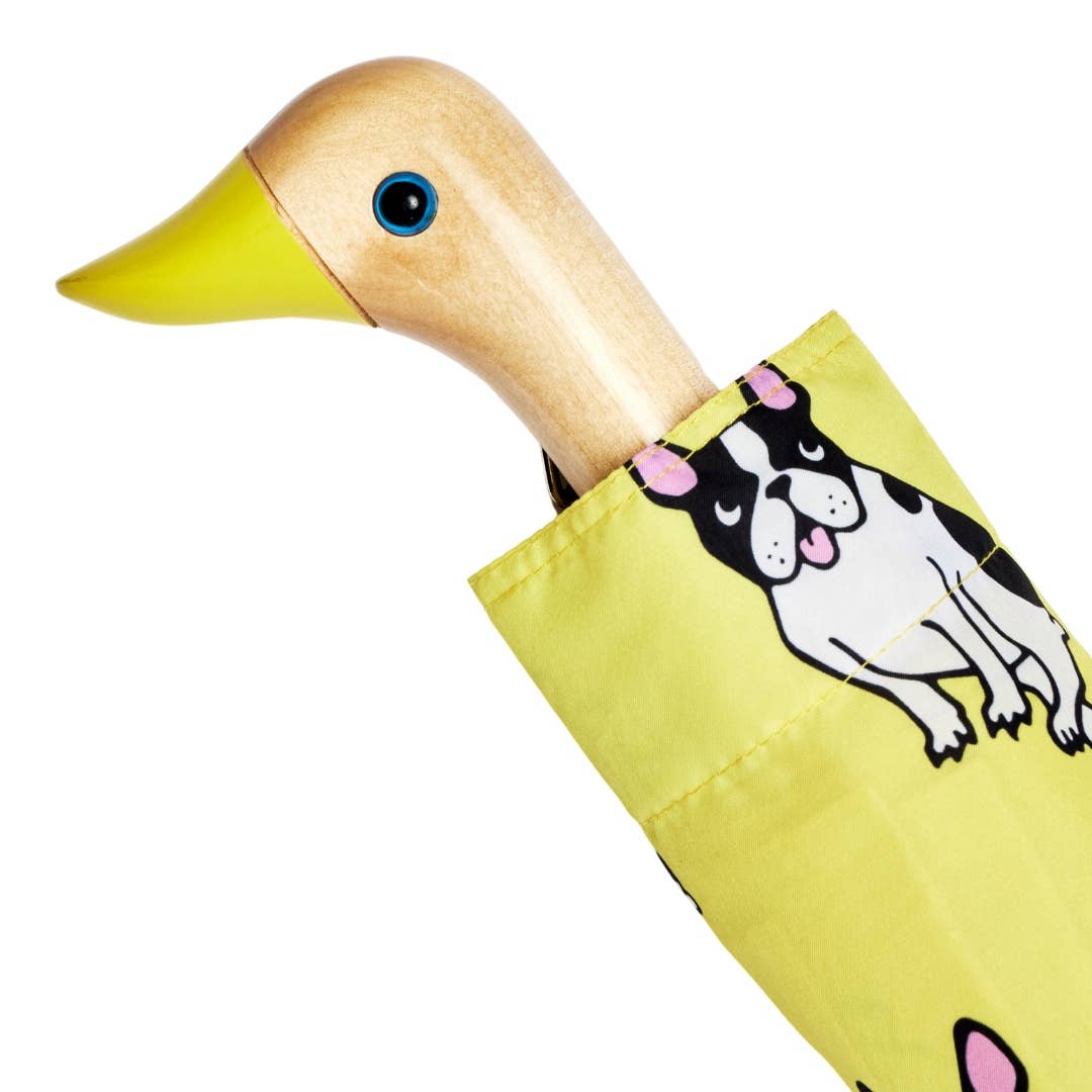 Original Duckhead USA - Vente Parapluie – unisexe - Marque française Coucou Suzette Collab - Parapluie pour chien Frenchie4