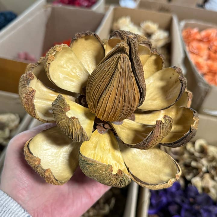 Natural Dried Handmade Flower for Rustic Home Decor (Heart) for wholesale by Effiliving