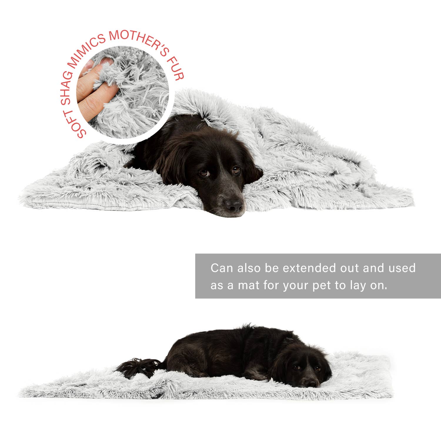 Pet Palette Distribution - Wholesale Pet Blanket - Cat/Dog - Best Friends by Sheri Blanket Shag Frost 40x501