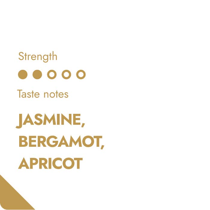 The Brew Company - Wholesale Coffee Beans - ETHIOPIA SPECIALTY COFFEEBREWER 80 pcs2