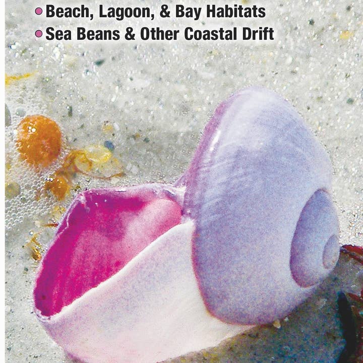 Quick Reference Publishing, Inc - Wholesale Nature Guide - Shells of North Carolina, South Carolina & Georgia