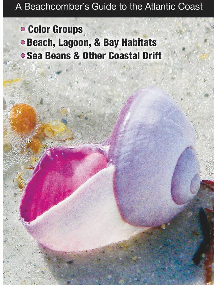 Conchas da Carolina do Norte, Carolina do Sul e Geórgia por atacado de Quick Reference Publishing, Inc