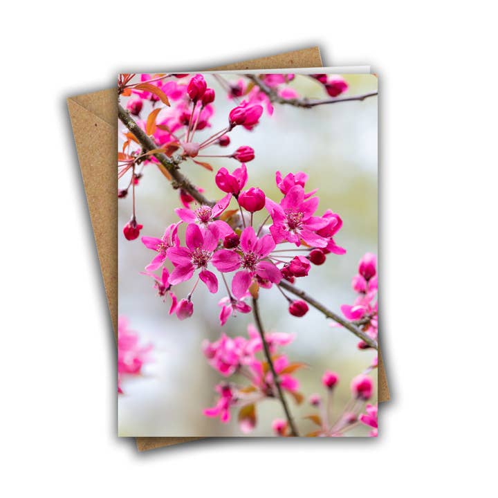 Pink Blossom Greeting Card for wholesale by Marina Walker