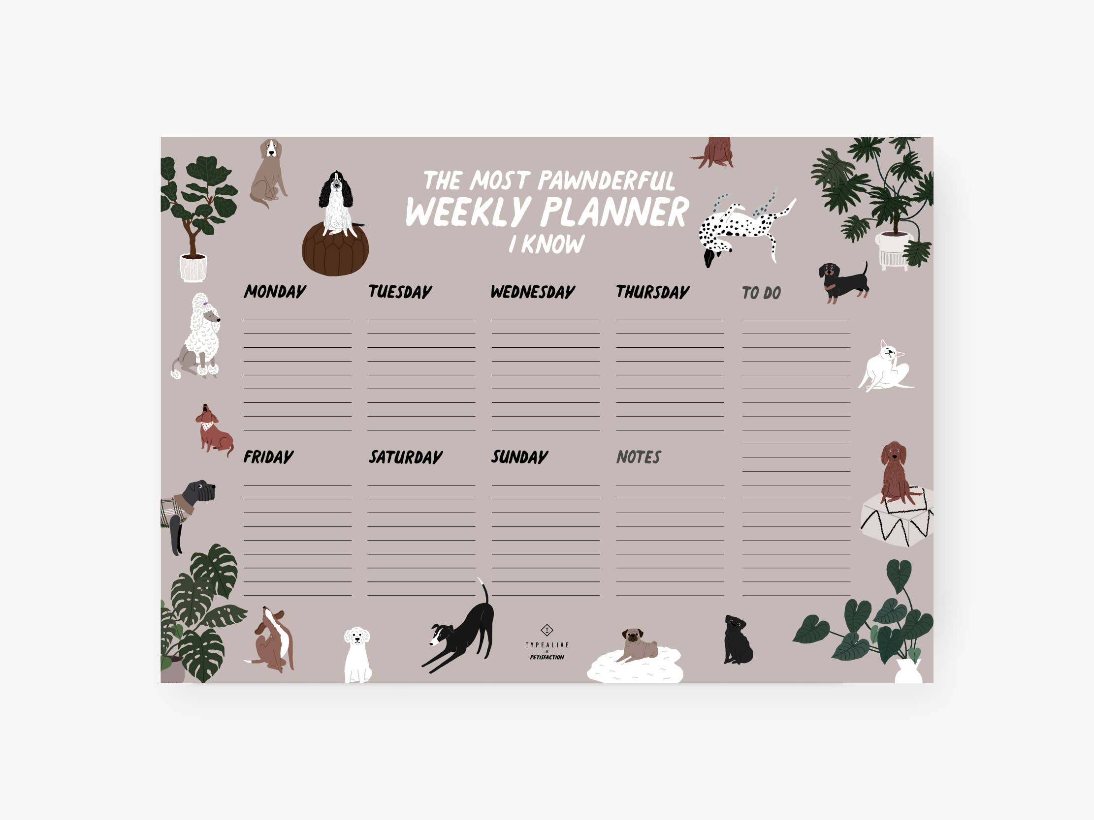typealive - Wholesale Planner - Weekly planner/Petisfaction “DOGS”0