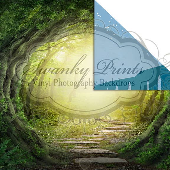 NEW ITEM / 6ft x 5ft REVERSIBLE Vinyl Backdrop / Double for wholesale by Swanky Prints