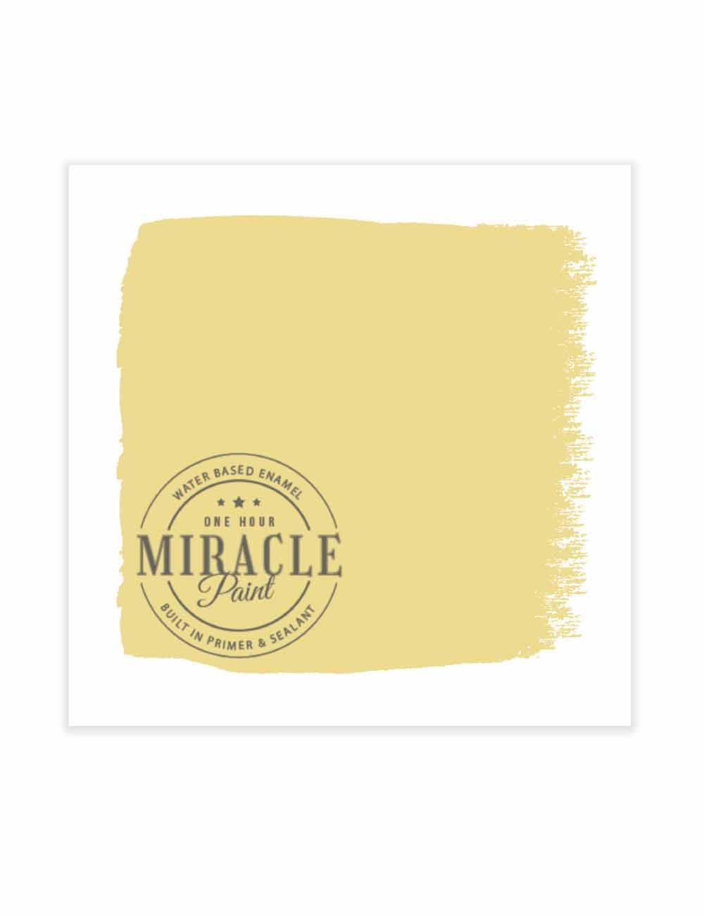 Amy Howard at Home - Wholesale Paint Set - Miracle Paint (32 oz.)71