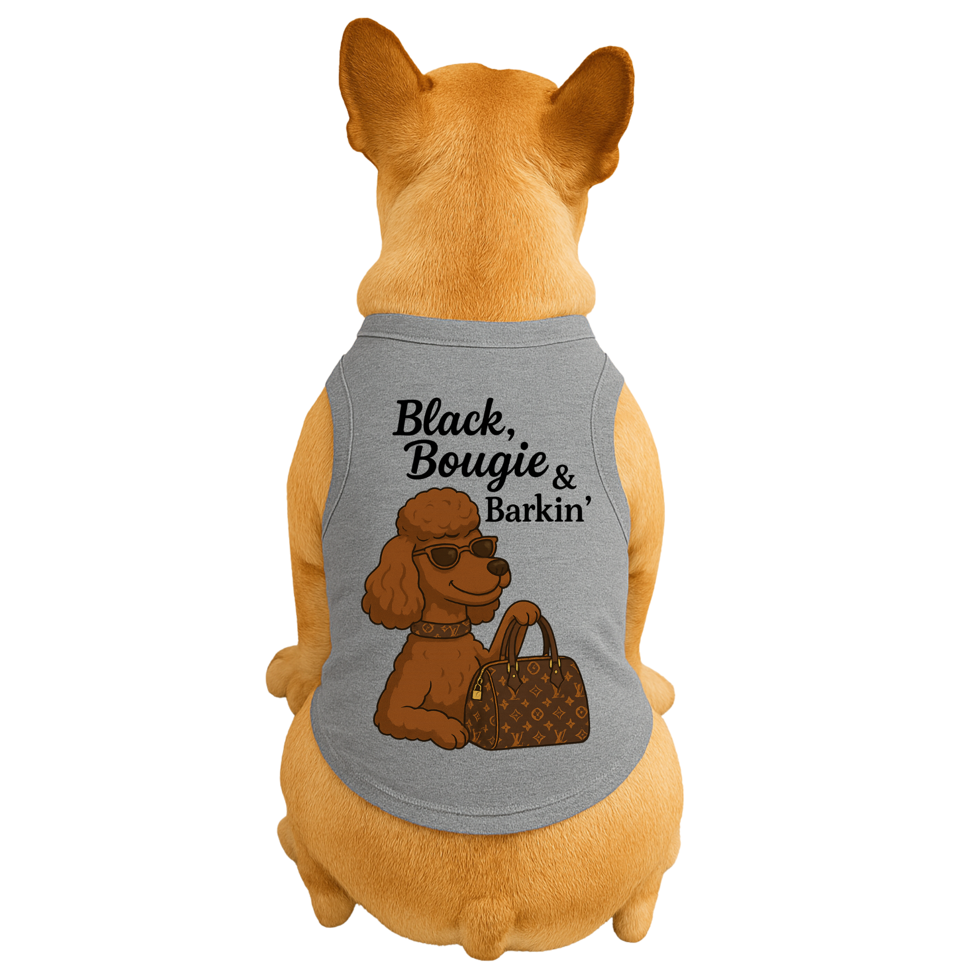 Diva Dog Clothing – wholesale Tröja - Hund – Svart, Bougie & Skällande1