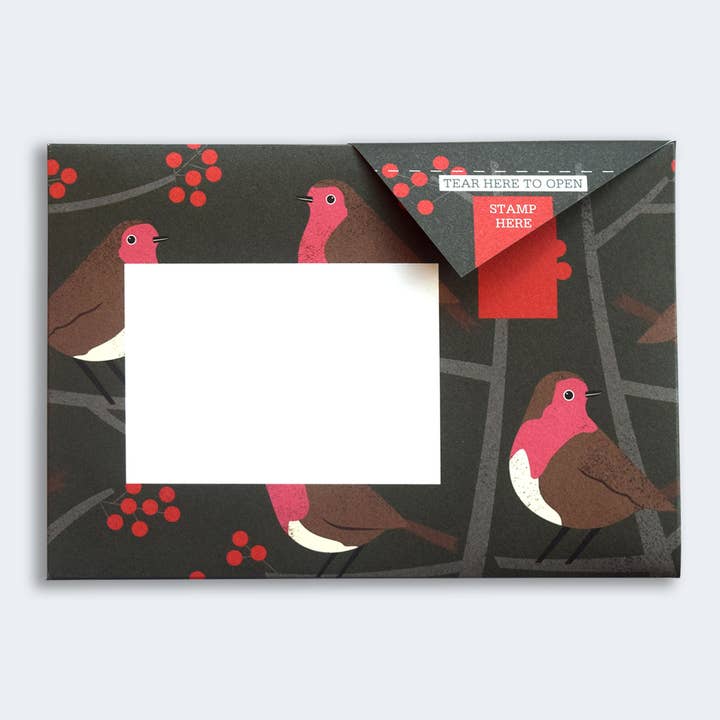 pigeonposted - Wholesale Stationery/Notecard Set - Robin & Wren Pigeon letter pack