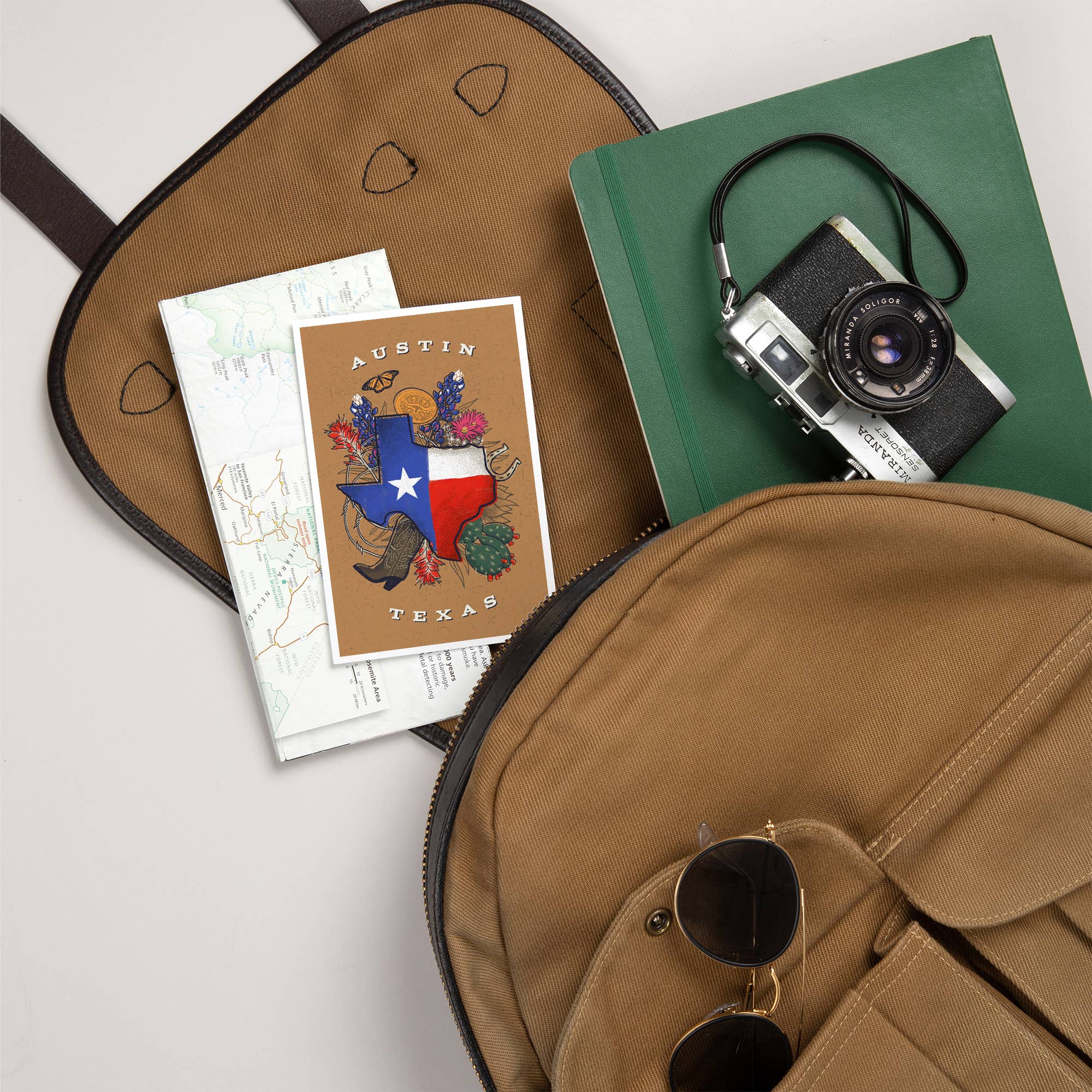 Lantern Press – wholesale Postcard – PREMIUM POSTCARDS Austin, Texas, State Treasure Trove5