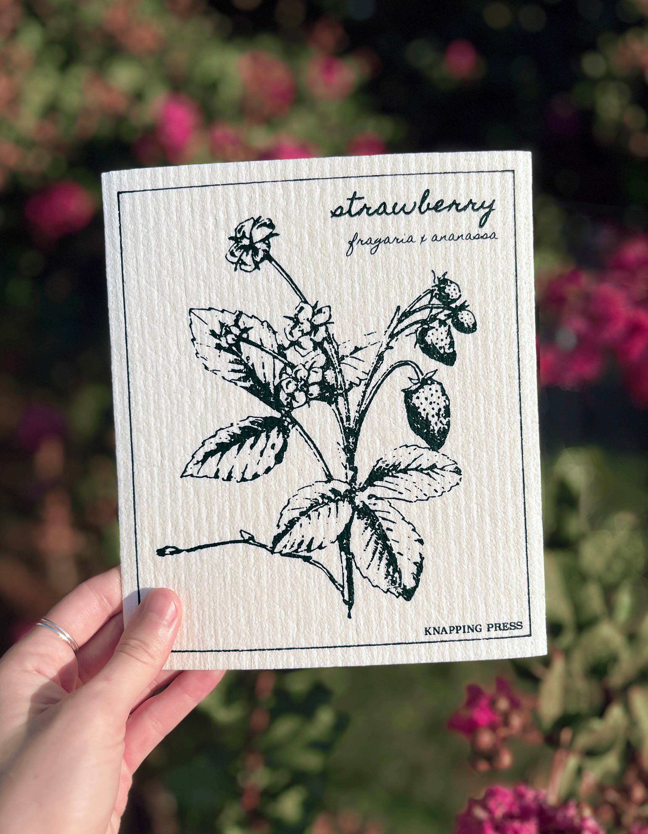 Knapping Press - Wholesale Cleaning Cloth - Swedish Dishcloth - Strawberry1