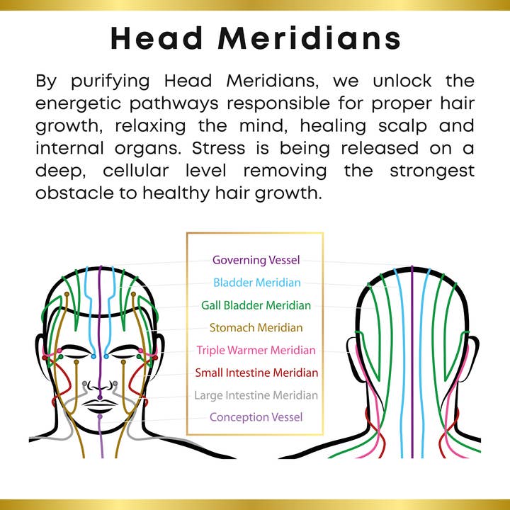 The Sacred Essence - Wholesale Hair Serum - SHIRODHARA SERUM - Meridian Activation For Hair Growth 50ML