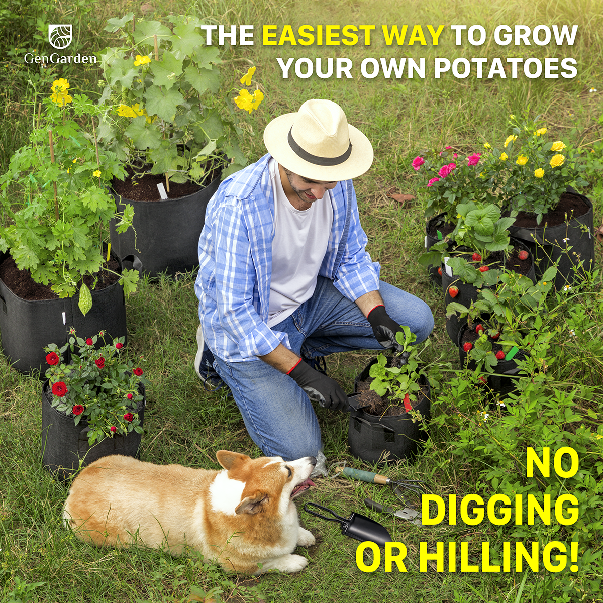 FutureBrand - Wholesale Plant Pot - Pack of 5 Plant Grow Bags (7 Gallon - Free garden spade)7