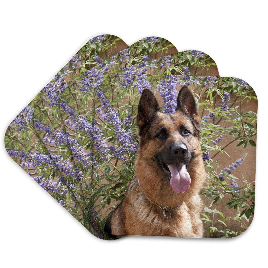 3dRose - Wholesale Coasters - 3dRose, German Shepherd., Coaster7
