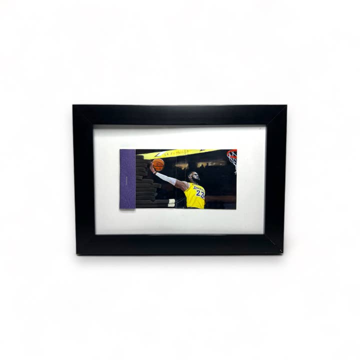 LeBron James Framed for wholesale by King Margot
