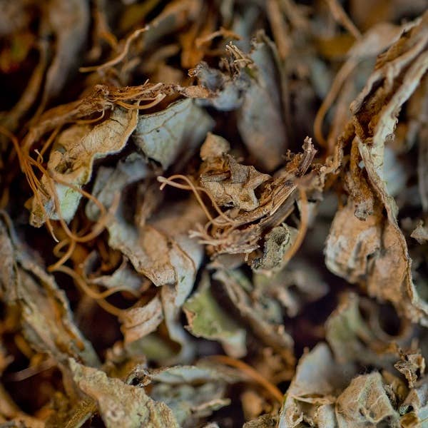 LE COMPTOIR D'HERBORISTERIE - Wholesale Health/Detox Tea - ORGANIC ARTICHOKE INFUSION FRANCE LEAF 40G1