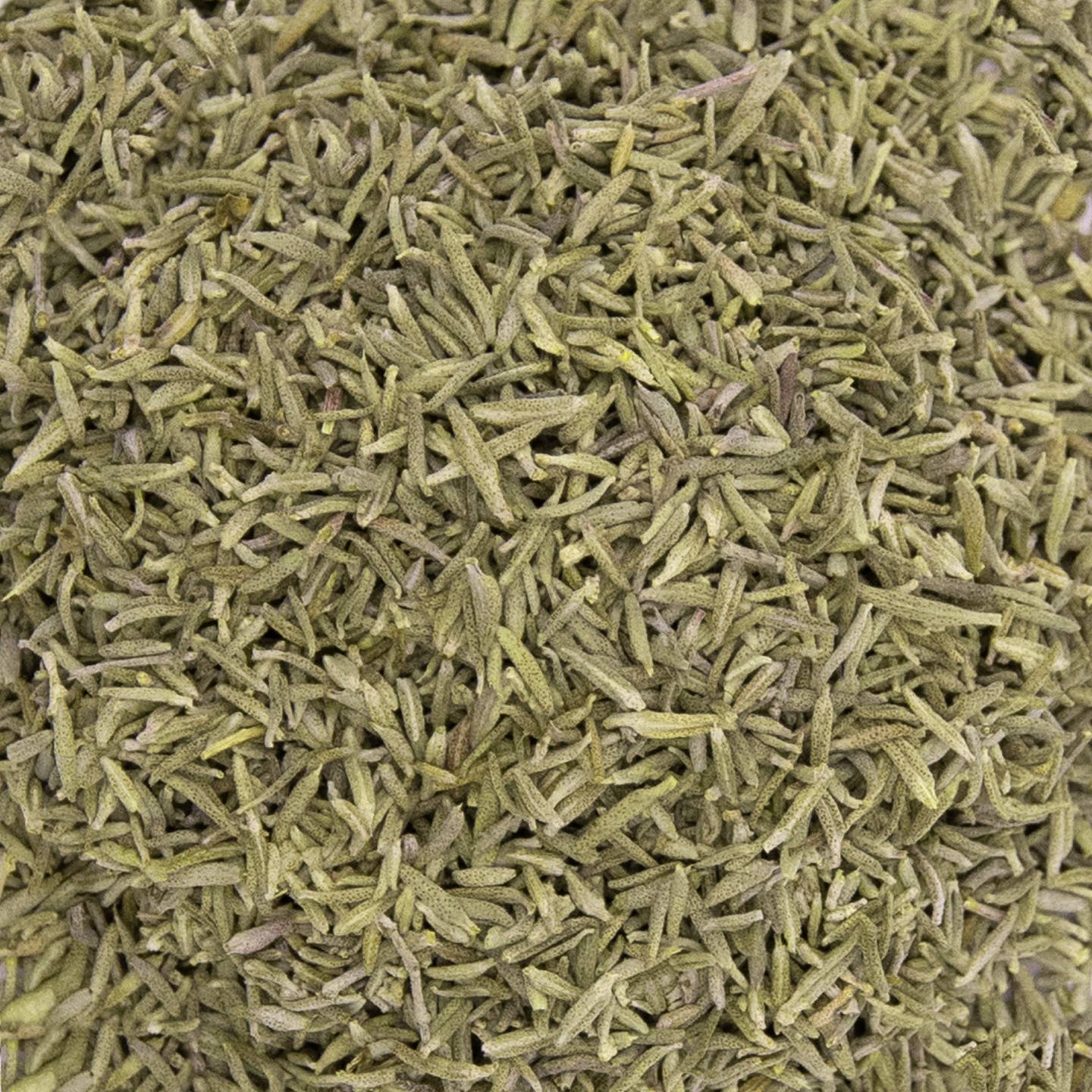 PROVENCE D'ANTAN - Wholesale Herbs - Organic Provence Thyme PGI* - 40g Plant-Based PLA Pot1