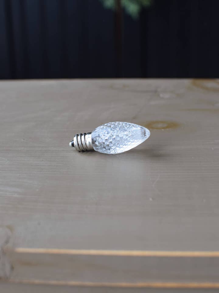 Warm White LED Bulbs - Box of 25 for wholesale by Meadowbrooke Gourds