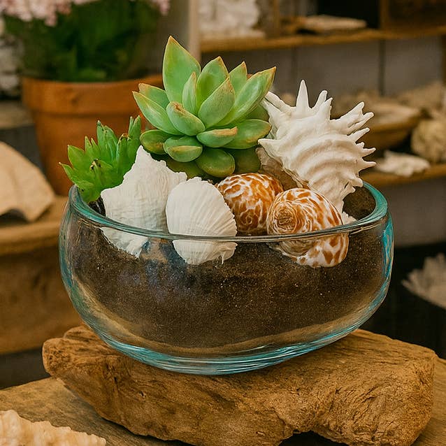 Hand-Blown Glass Bowl on Driftwood Base
for wholesale by Asia West