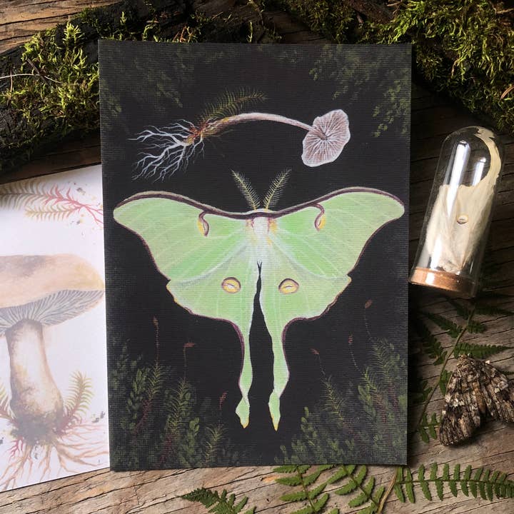 Up Moss Creek Studio - Wholesale Postcard - Luna Moth Postcard 0