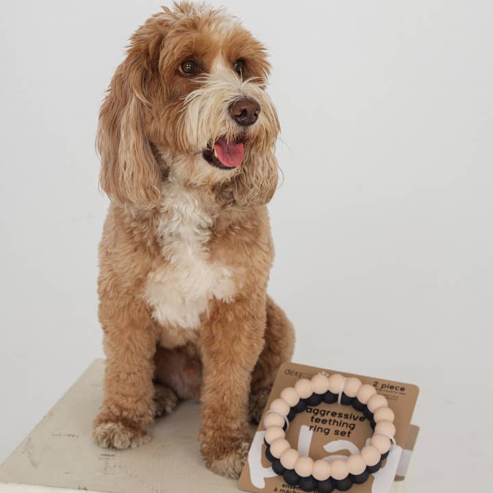 dexypaws - Wholesale Pet Chew Toy - Dog - 2 x Ring Aggressive Chew Toy Set - Nude & Black6