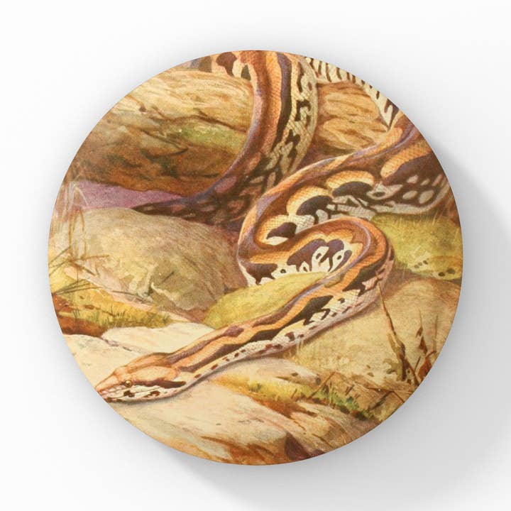 Snake Pin Button, Snake Keychain, Snake Magnet for wholesale by NatureCuts