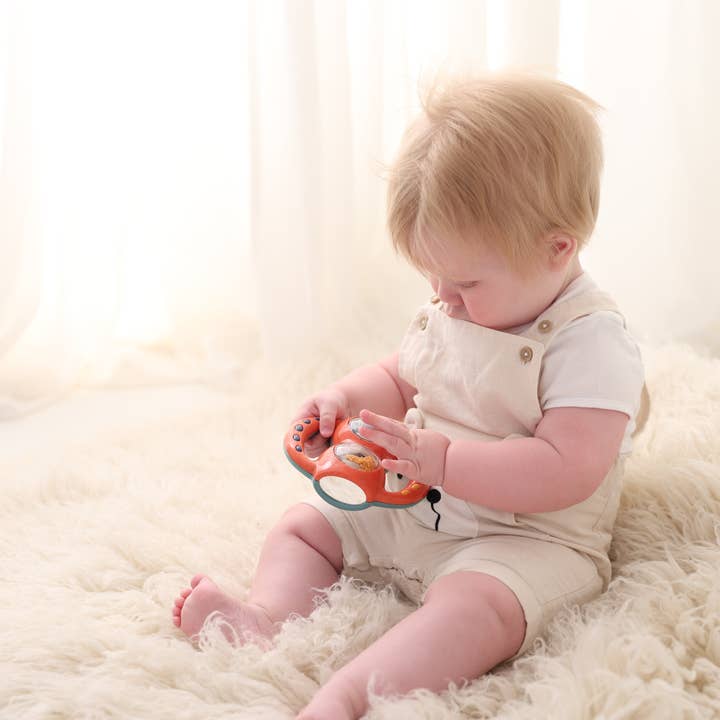 Speedy Monkey - Wholesale Handheld Rattle - Baby - Magic Shaker - TOLO3