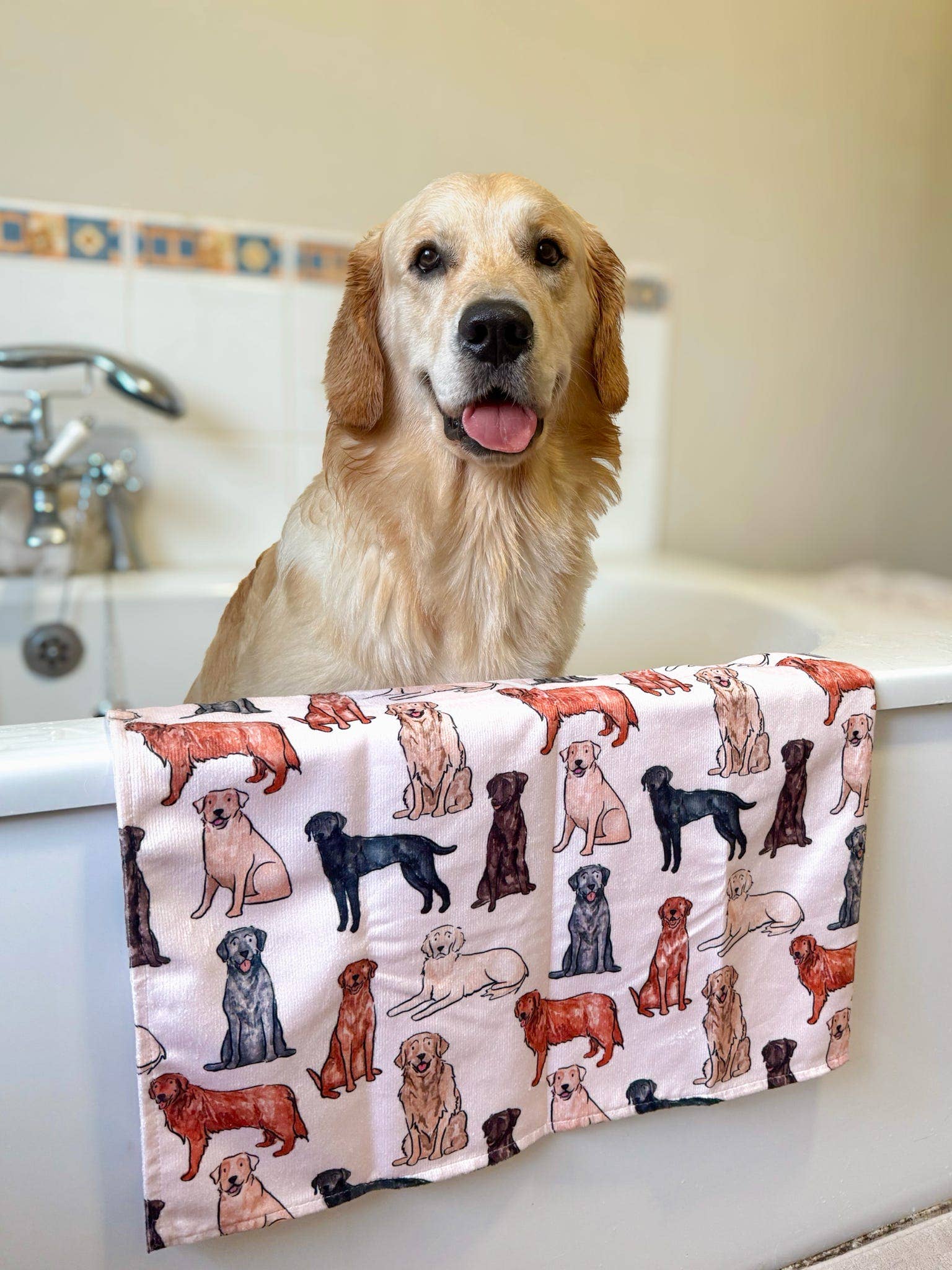 The Paw Print Boutique - Wholesale Pet Towel - Dog - The Labrador / Retriever Dog Towel2