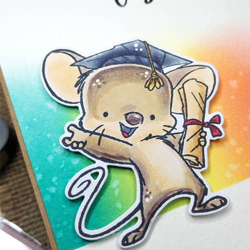 Impronte D'Autore - Wholesale Rubber/Decorative Stamp - Clear polymer stamps Graduation3