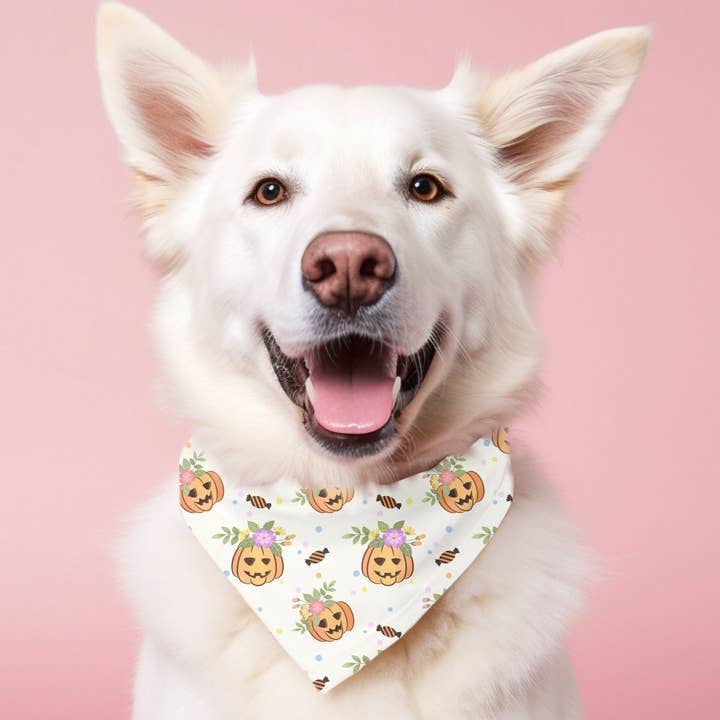Pumpkin Patch Dog Bandana, Halloween Dog Bandana, Fall Theme for wholesale by Dog Mom Apparel
