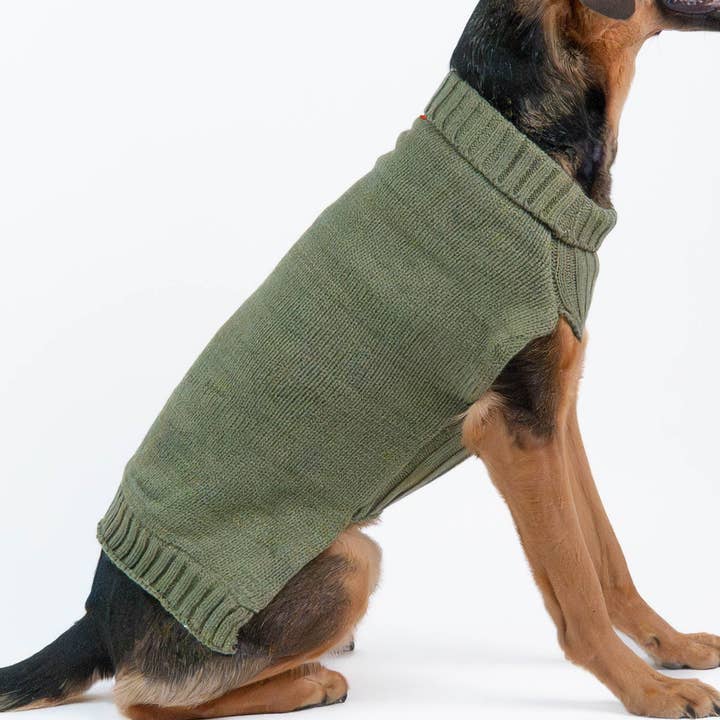 Pull pour chien en laine Luna Fashion pour la vente par Silver Paw