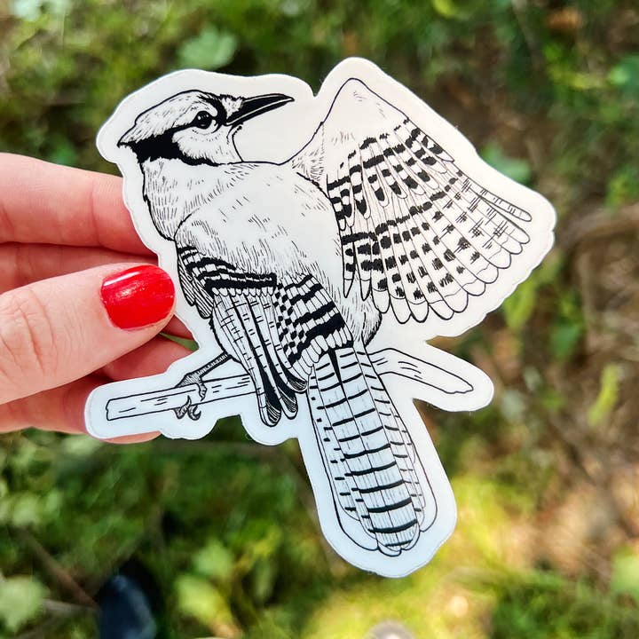 Blue Jay 4 x 4 gestanzte Aufkleber für den Großhandel von Julie Annette Studios