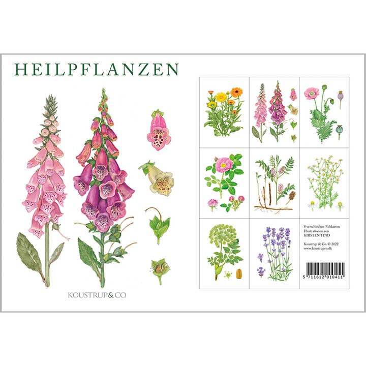 Koustrupco - Wholesale Everyday Greeting Card - Cardfolder Heilpflanzen - 8 cards w/envelopes (german)4