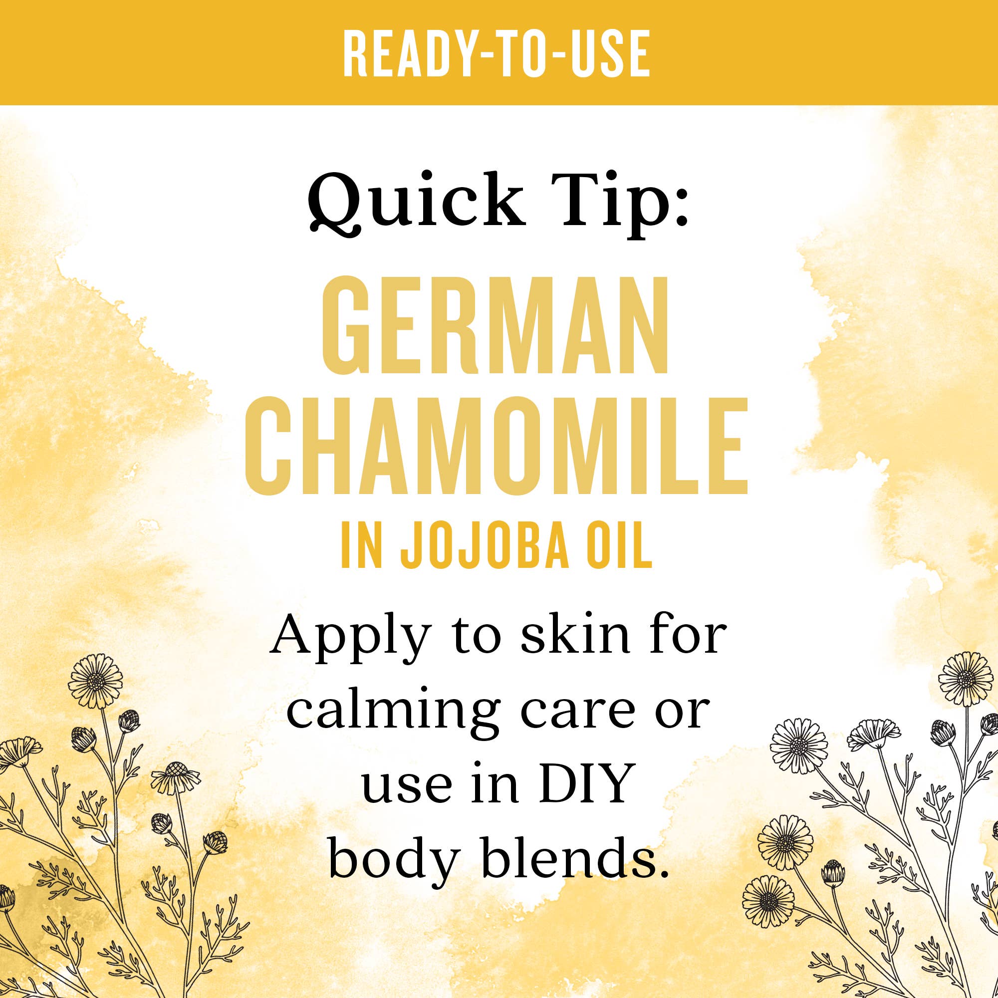 Aura Cacia - Wholesale Essential Oil - Ready To Use German Chamomile Essential Oil In Jojoba Oil3