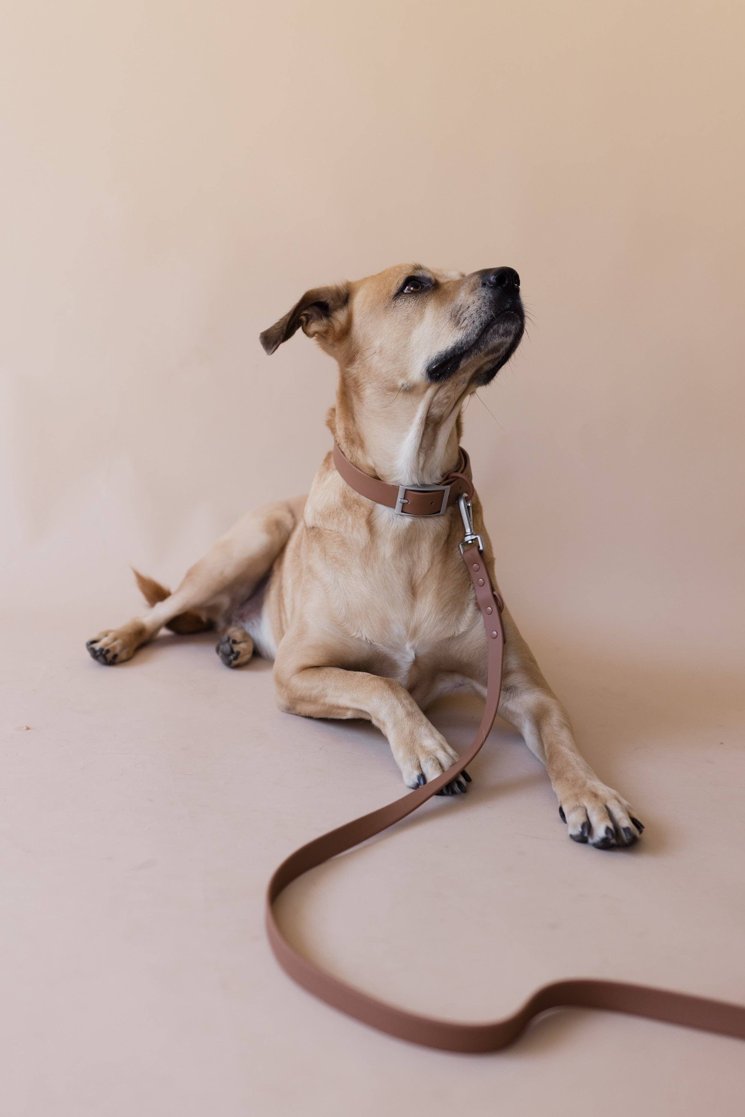 PRILTON - Wholesale Pet Leash - Dog - Leash - Brown1