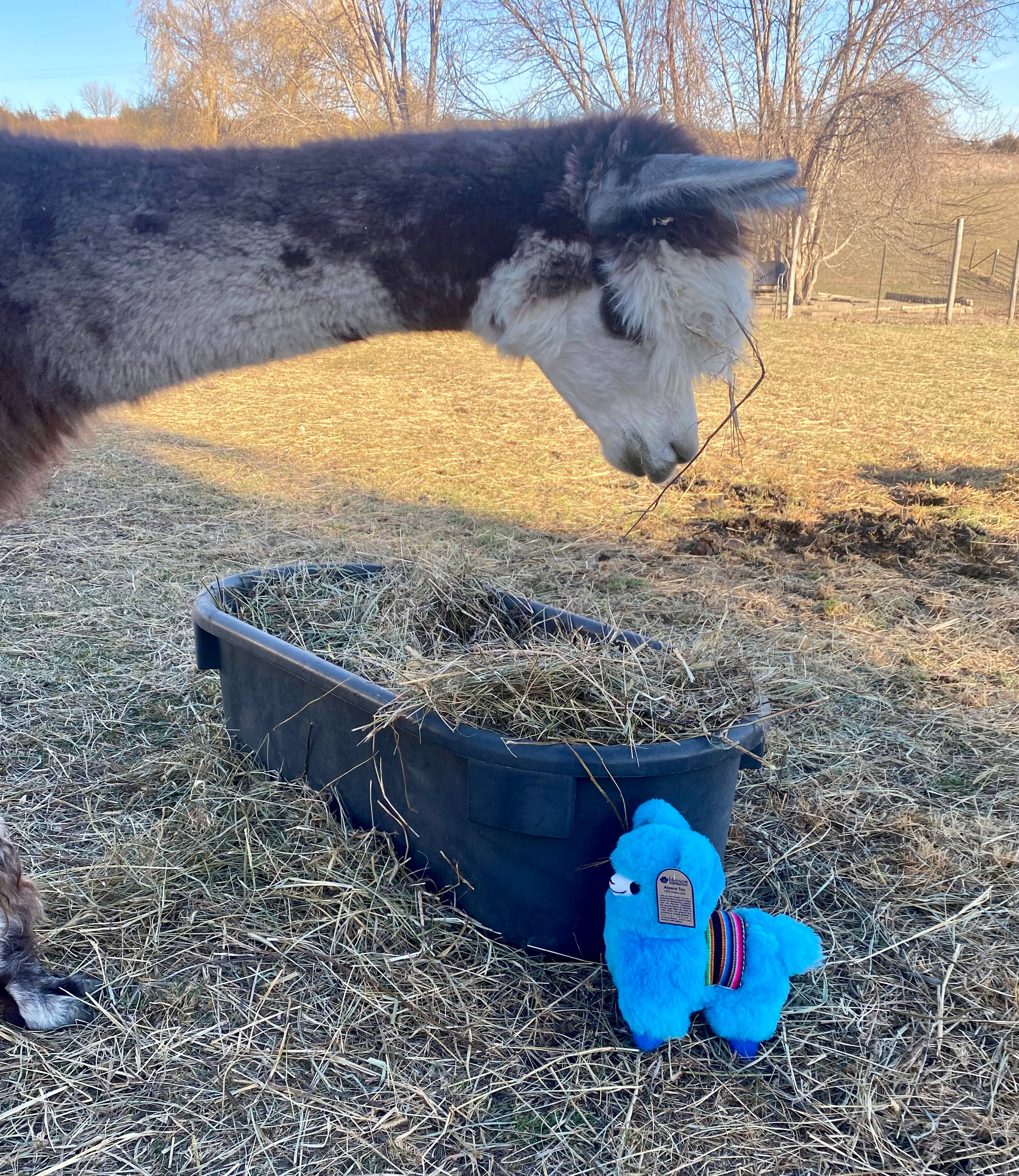 Blossom Inspirations - Wholesale Stuffed/Plush Toy - Kids & Baby - Wawa Kawaii Alpaca Fur Toy9