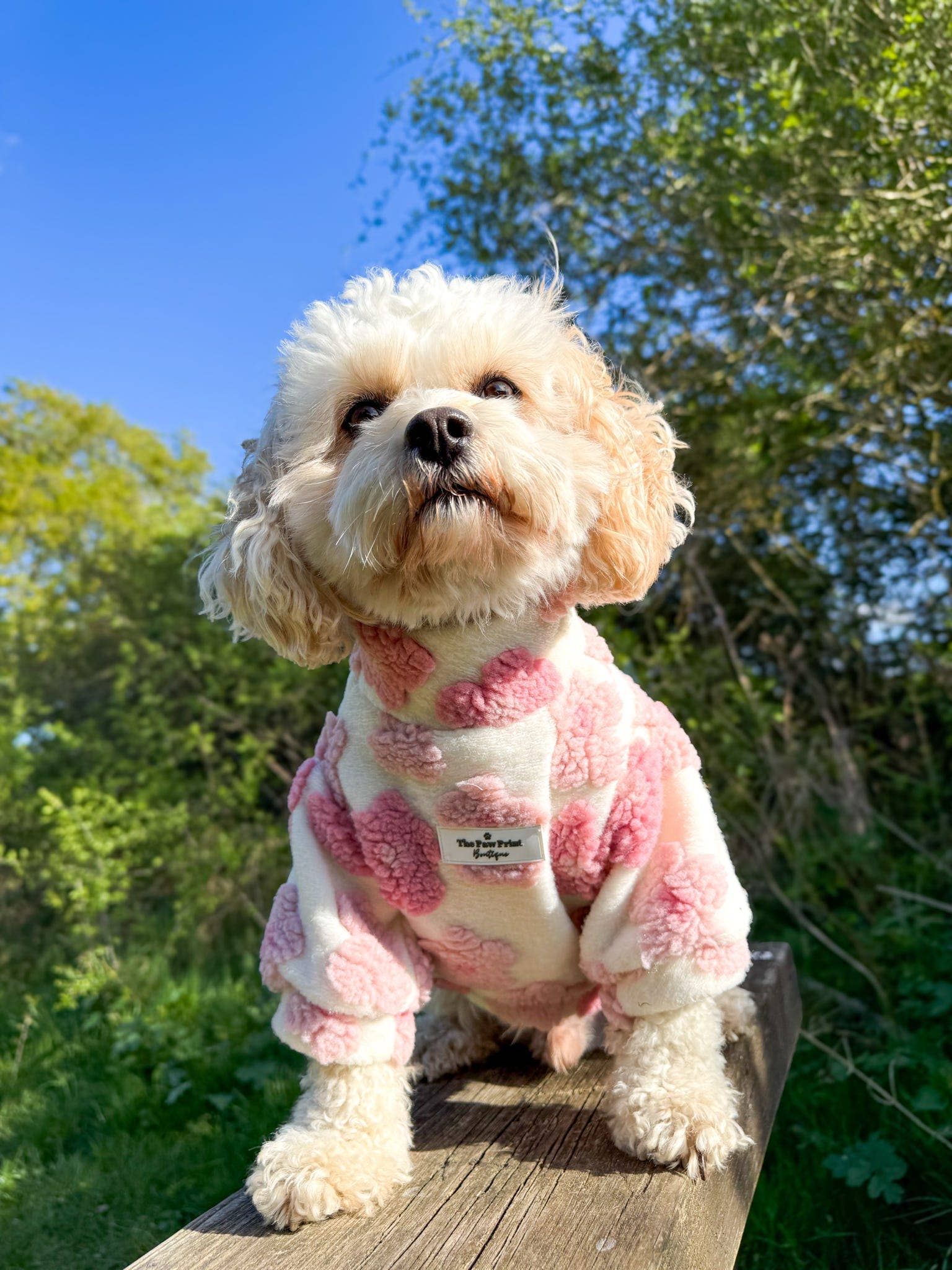 The Paw Print Boutique - Wholesale Pet Coat - Dog - The Peony Pink Floral Fleece9