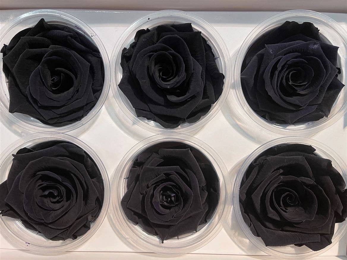 Dutch Flower Studio - Wholesale Artificial Flowers - 🌸 Preserved Roses - 13 colors - Decoration - Flowers - 6 cm0