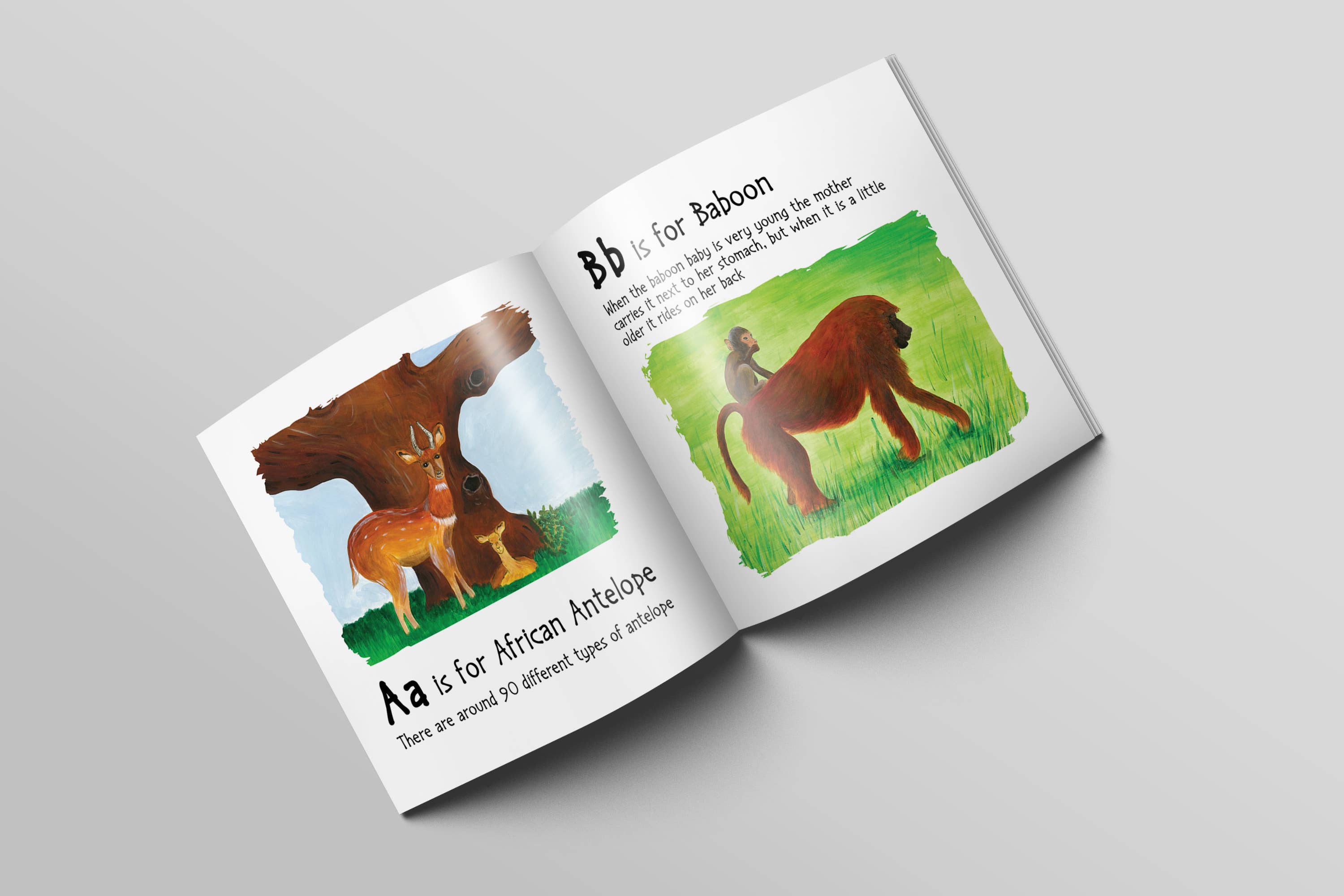 Tall Order - Wholesale Book - Kids - Children's ABC Book, African Alphabet Educational Book3