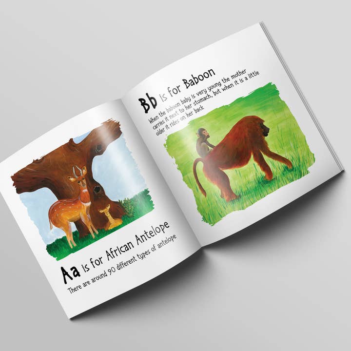 Tall Order - Wholesale Book - Kids - Children's ABC Book, African Alphabet Educational Book3