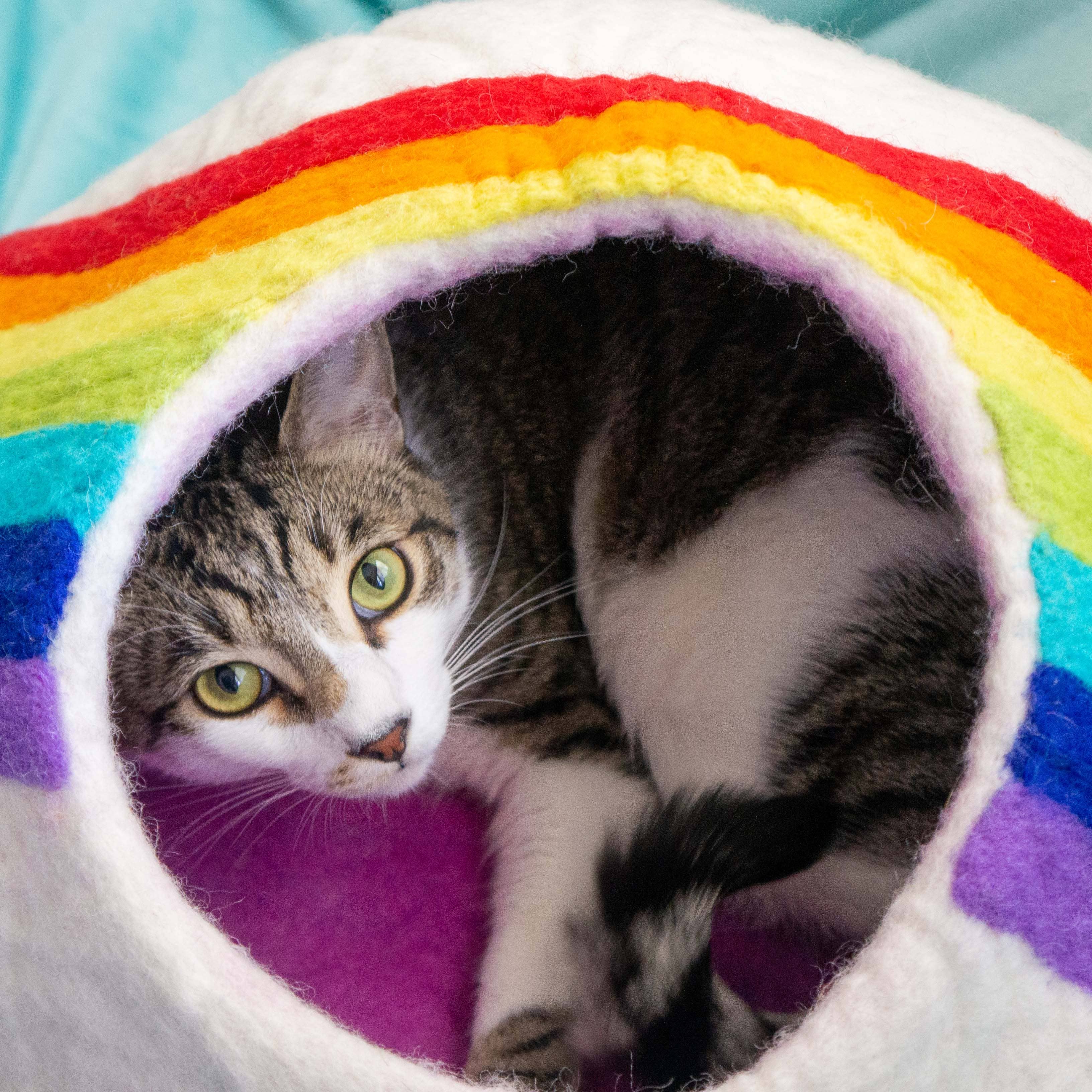 Friendsheep - Wholesale Pet Cave - Cat/Dog - Felt Wool Cat Cave RAINBOW Eco Kitty Cave1