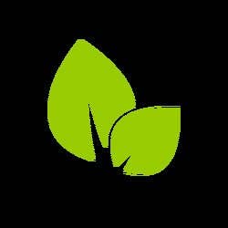 Voss Botanicals, LLC - Wholesale Healing Salve/Balm/Cream - Sunflower Salve | Dry Skin Salve | Heals Damaged Skin | Chapped Skin Salve | Vegan | Wild Orange | Cuticle Oil | Gift For Her | Winter Aid5