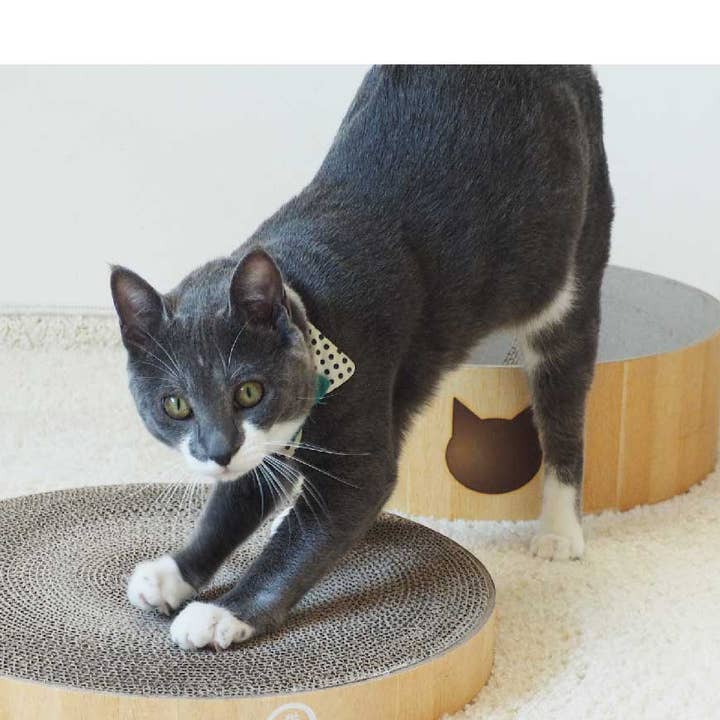 Tampone di ricambio Cozy Cat Scratcher Bowl (confezione da 2) per la vendita all'ingrosso da parte di MOON-X USA, INC.