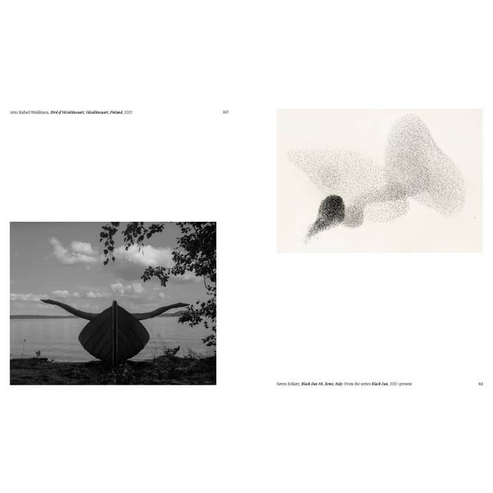 W. W. Norton - Wholesale Display Book - Aviary: The Bird in Contemporary Photography10