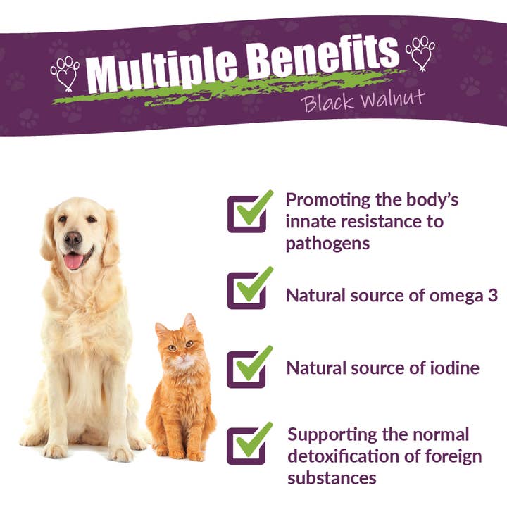 Amber NaturalZ, Inc. - Wholesale Voedingssupplementen voor huisdieren - Kat/Hond - Black Walnut | Huisdier Supplement3