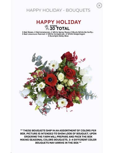 Premium pre made Christmas Bouquets 8 Bunches for wholesale by Florasource
