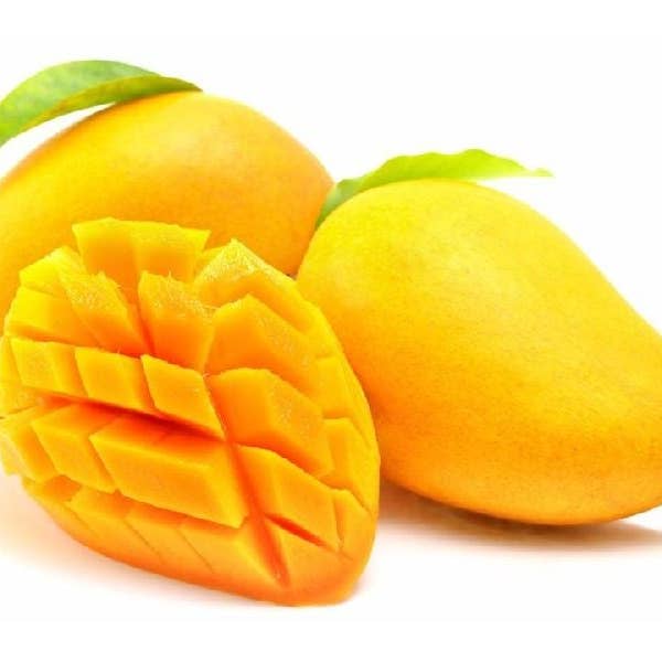 indus farms superfoods - Vendita all'ingrosso Frutta secca/disidratata - Polvere di frutta mango naturale al 100% di Indus Farms